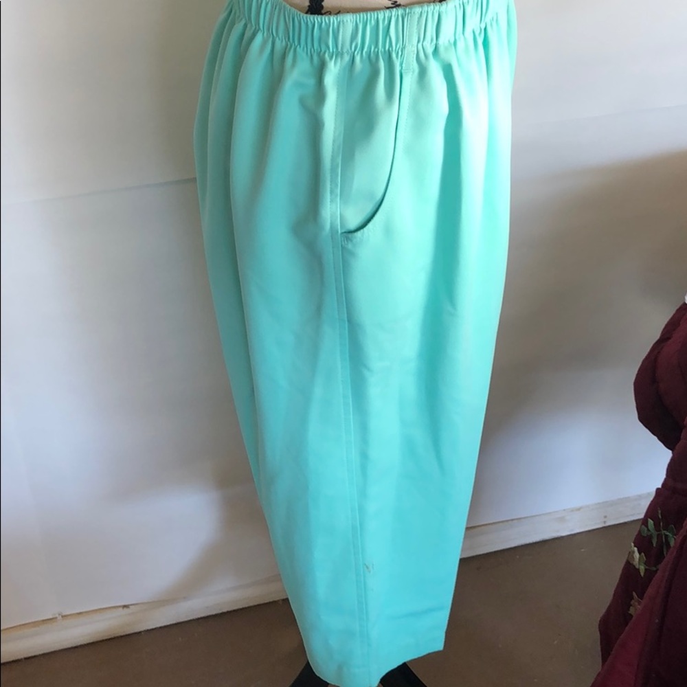 Alia Capris NICE🧚‍♂️great  condition like new